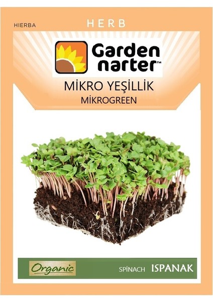 Garden Narter Mikro Yeşillikler İçin Microgreen Organik Ispanak Tohumu 17 gr 1700 Tohum