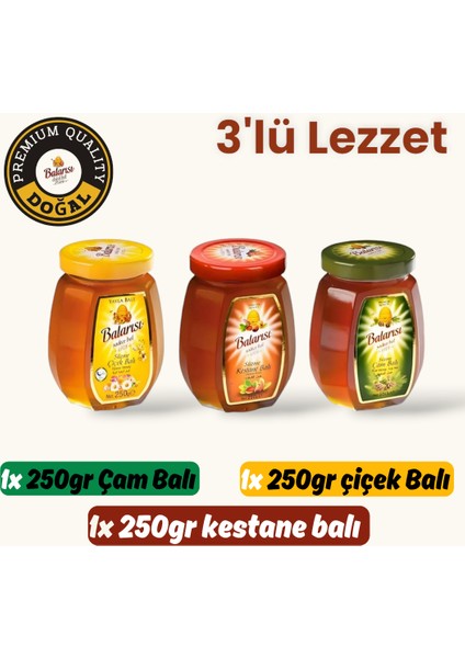 3'lü Lezzet Kestane,çiçek,çam Balı 250G