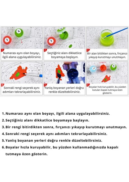 Sayılarla Boyama Seti Numaralı Tuvale Gerili Fırça Boya Dahil Tam Set 40X50CM | Sevimli Gözler