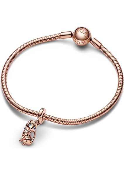 Işıltılı Kedi Sallantılı Charm modelleri