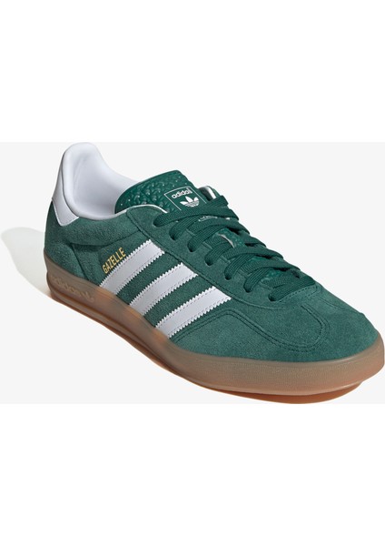 Gazelle Indoor.-