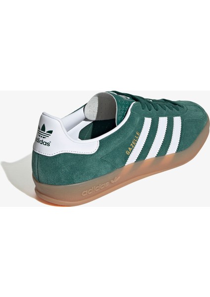 Gazelle Indoor.-