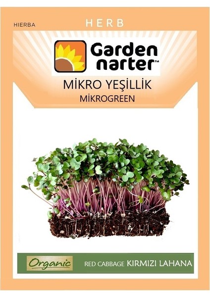 Garden Narter Mikro Yeşillik İçin Microgreen Organik Kırmızı Lahana Tohumu 7 gr 1750 Tohum