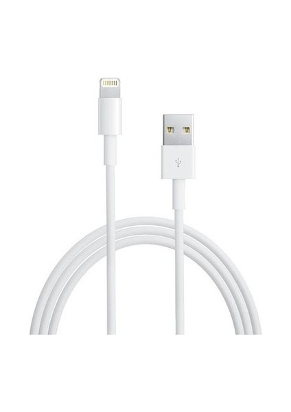 Apple Lightning
