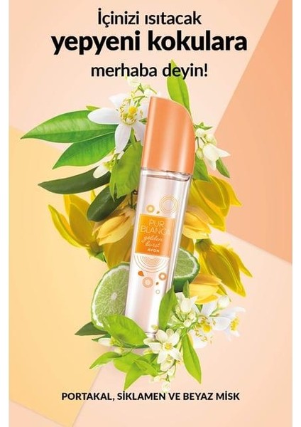 Pur Blanca Golden Burst Kadın Parfüm Edt 50 ml. Üçlü Set fiyatları