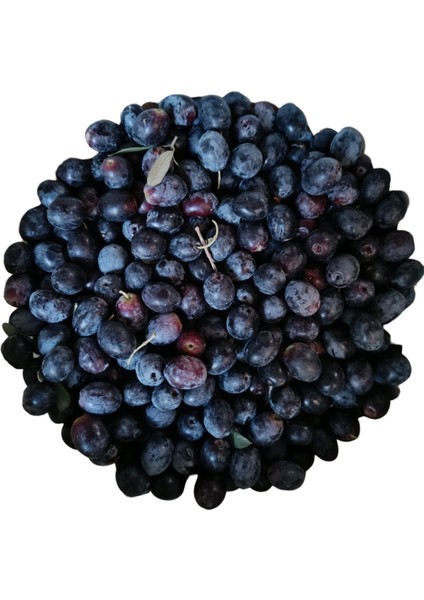 Siyah Zeytin Yeni Mahsul 1 kg