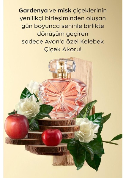 Eve Become Kadın Parfüm Edp 50 ml. Üçlü Set