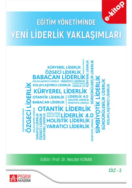 Eğitim Yönetiminde Yeni Liderlik Yaklaşımları Cilt:2 (e-kitap)