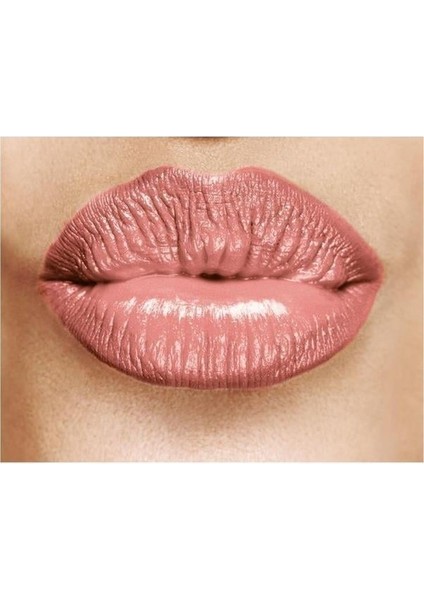 True Beauty Lip Stylo Ruj Vintage Pink