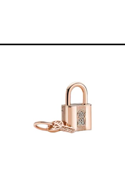 Kilit ve Anahtar Sallantılı Rose Charm fiyatları