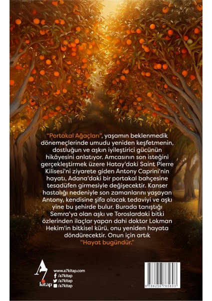 Portakal Ağaçları