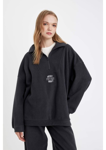 Oversize Geniş Kalıp Fermuarlı Dik Yaka Nakışlı Polar Sweatshirt Y2649AZ24WN