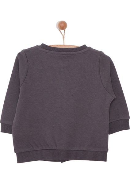 Basic Ribanalı Hırka Erkek Bebek fiyatları