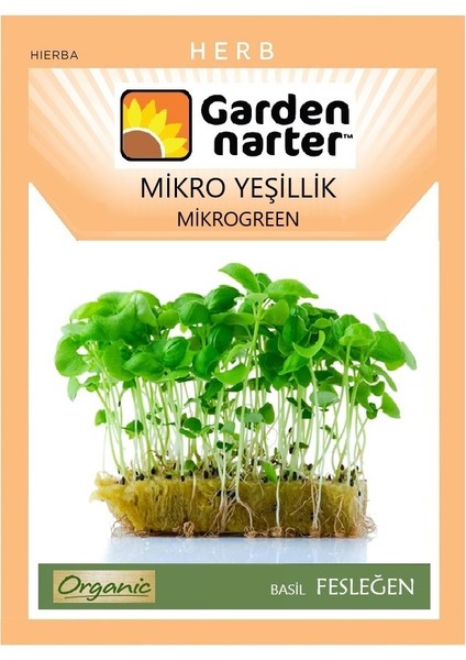 Garden Narter Mikro Yeşillik Için Microgreen Organik Yeşil Fesleğen Tohumu 3,2 gr 1200 Tohum