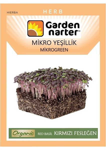 Garden Narter Mikro Yeşillik Için Microgreen Organik Kırmızı Fesleğen Tohumu 3,2 gr 1200 Tohum