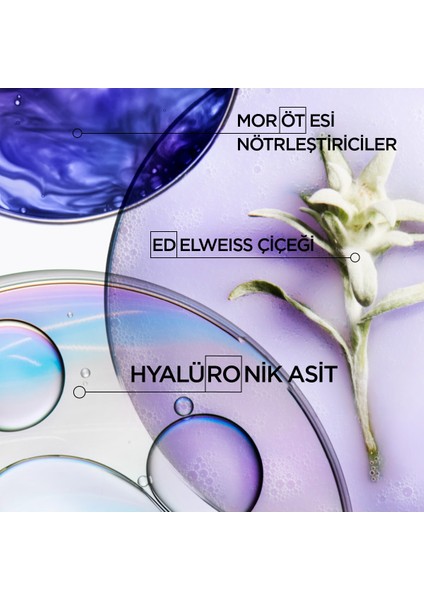 Blond Absolu Bain Ultra-Violet Istenmeyen Sarı&turuncu Yansımaları Nötralize Eden Şampuan