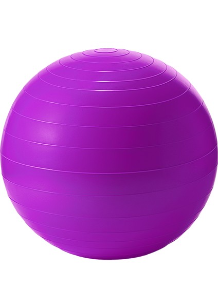 Yoga Pilates Egzersiz Topu 65CM – Sağlam, Dayanıklı ve Hava Pompası Dahil fiyatları