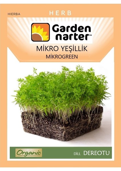 Mikro Yeşillik Için Microgreen Organik Dereotu Tohumu 10 gr 7000 Tohum