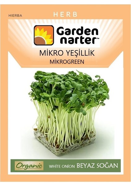 Garden Narter Mikro Yeşillik Için Microgreen Organik Beyaz Soğan Tohumu 12 gr 3000 Tohum