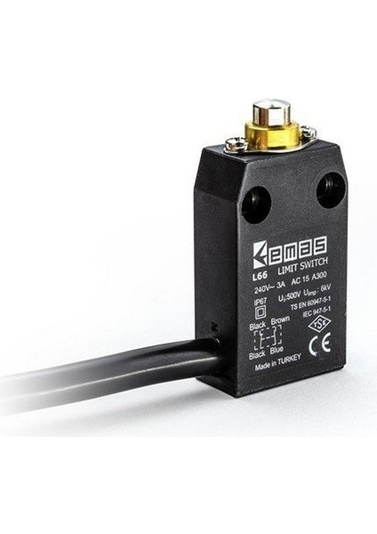 L66K13PUM211 Dogrusal Hareketli Pim Pls. Gövde (30)