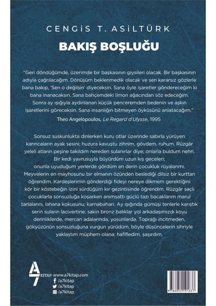 Bakış Boşluğu