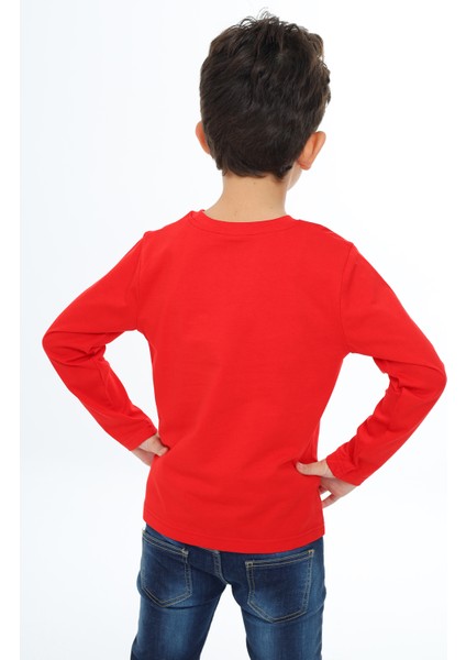 Erkek Çocuk Baskılı Tişört modelleri