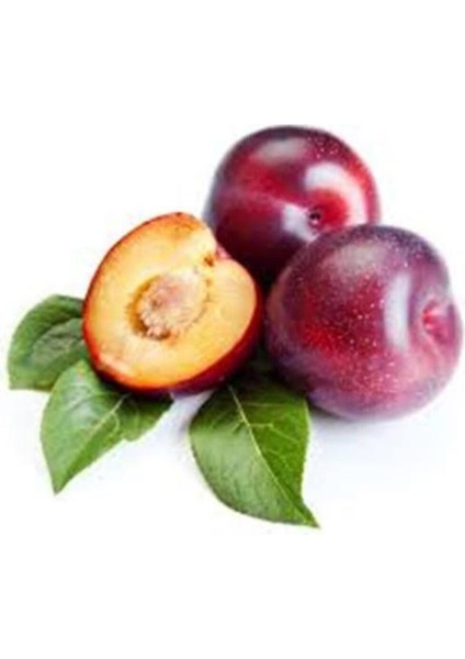 Taze Anjelika(Sogukhava Ürünüdür Serttır Yazınkı Gıbıdegıldır) Erik 500GR