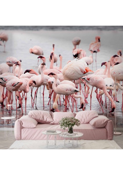 Deniz ve Pembe Flamingo Manzaları