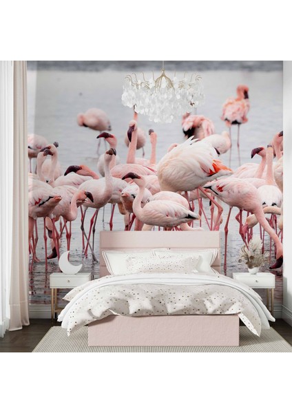 Deniz ve Pembe Flamingo Manzaları