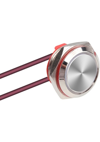 WD16C1-WIRED-P1 16 mm Düz Yaylı Metal Buton - Kablolu