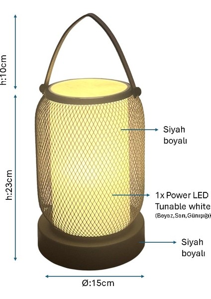 Siyah Boyalı Modern Masa Lambası PLC-1248-M-BSY