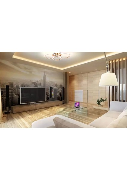 Dorbıen AR-6102-4BKR Modern Avize 3 Renk LED Tr