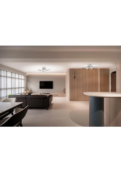 Dorbıen AR-6102-4K Modern Avize 3 Renk LED Tr
