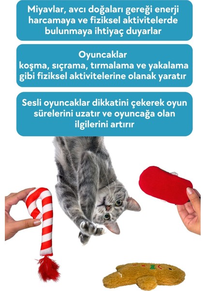Yılbaşı Temalı Kedi Oyuncak Seti Hışırtılı Kurabiye, Ponponlu Terlik ve Çıngıraklı Baston Şeker