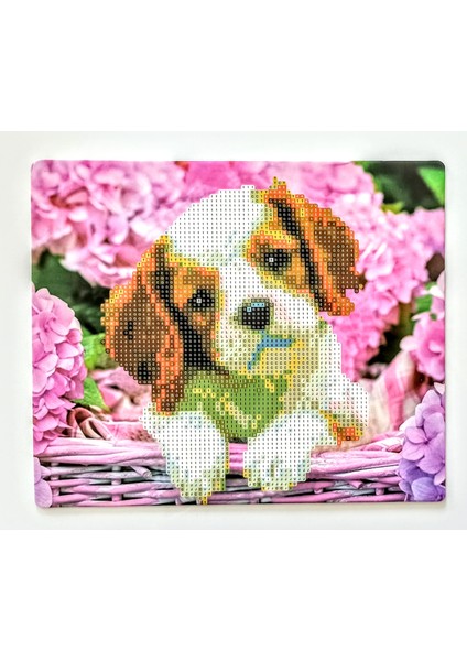 Boncuklu Taşlı Mozaik Elmas Goblen Pano Tablo Resim Puzzle Dıamond Paıntıng Ebat 21X25 Çocuklar Için