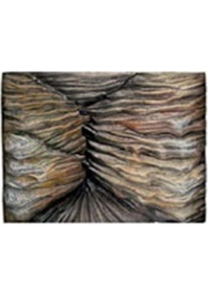 Arka Fon 60 x 5 x 45 Cm