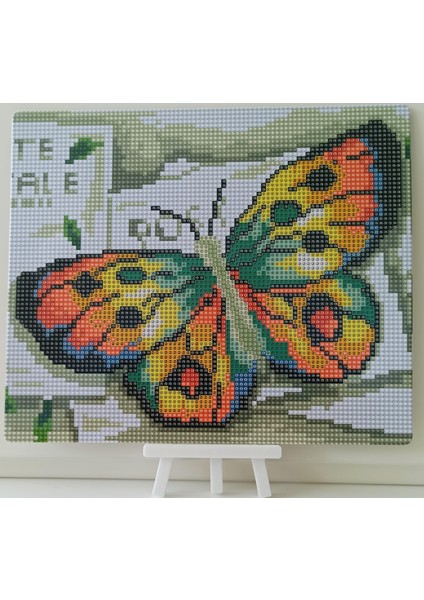 Boncuklu Taşlı Mozaik Elmas Goblen Pano Tablo Resim Puzzle Dıamond Paıntıng Ebat 21X25 Çocuklar Için