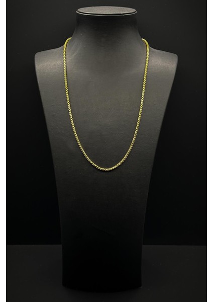 316L Çelik Italyan Model Altın Renk Erkek Kolye FRJ30791-891-G fiyatları