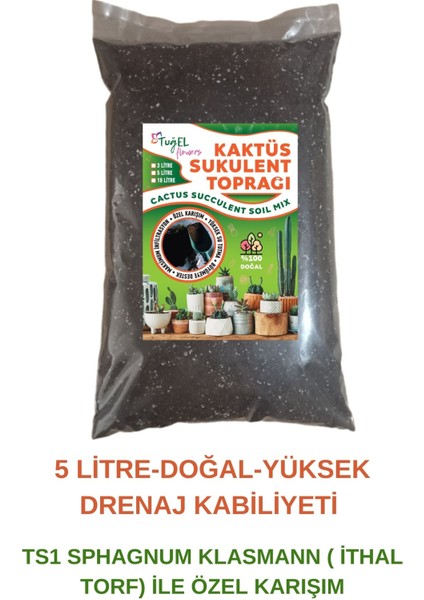 Kaktüs & Sukulent Toprağı 5 Litre