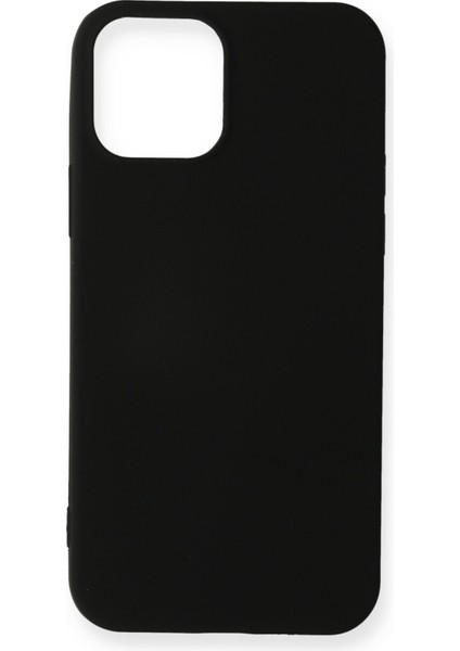 iPhone 12 Pro Max Yumuşak Silikon Kılıf - Siyah