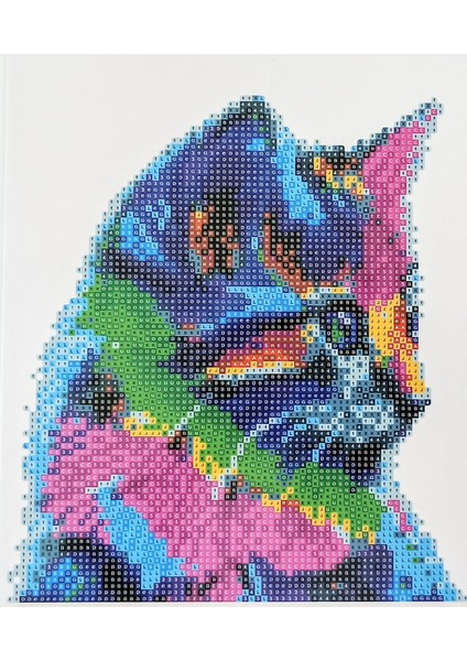 Boncuklu Taşlı Mozaik Elmas Goblen Pano Tablo Resim Puzzle Dıamond Paıntıng Ebat 21X25 Çocuklar Için