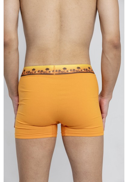Bacchus Couture 3'lü Yumuşak ve Nefes Alabilir Pamuklu Erkek Boxer - Şık ve Rahat Iç Giyim Seti