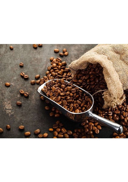 CAFFE DOSSE Filtre Kahve(Öğütülmüş)