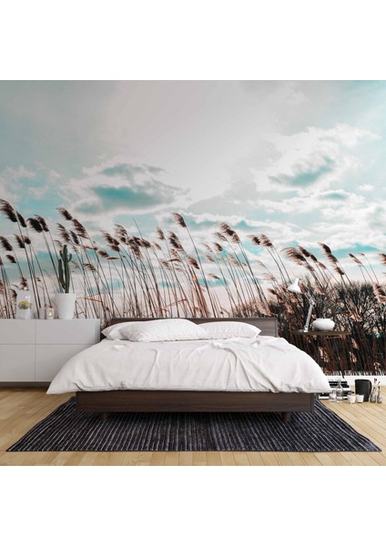 Buğday Tarlası Temalı fiyatları