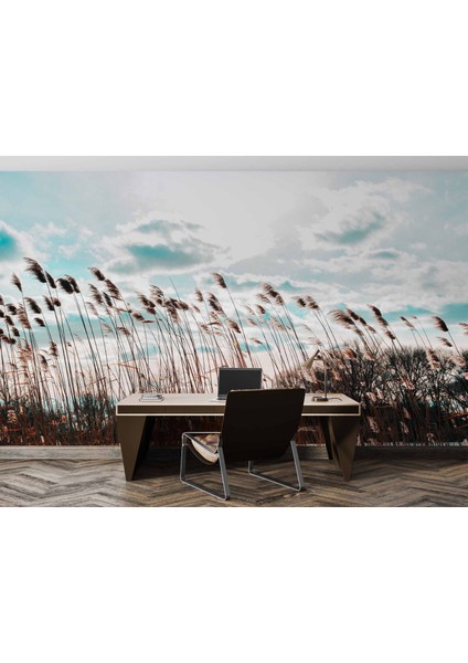 Buğday Tarlası Temalı fırsatları