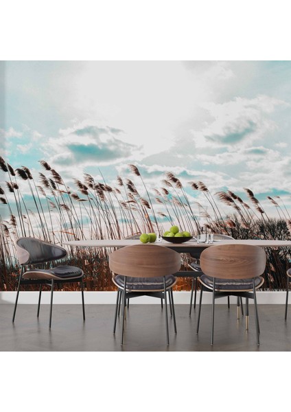 Buğday Tarlası Temalı indirimleri