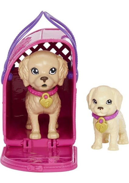 HKD86 Barbie ve Köpekçikleri Oyun Seti