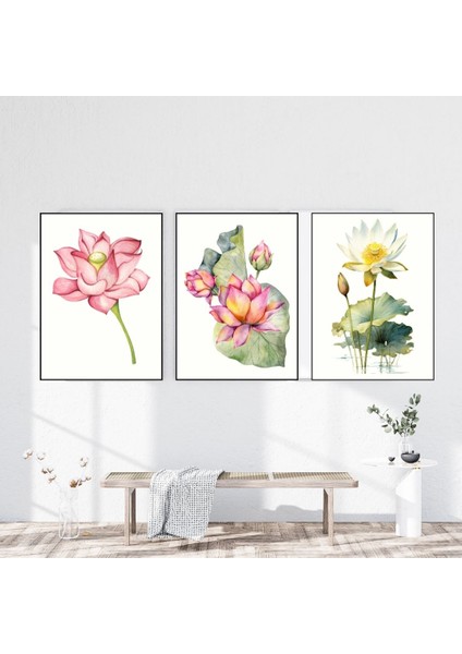 Suluboya Lotus Çiçeği 3'lü Japon Çiçek Çerçevesiz Poster modelleri