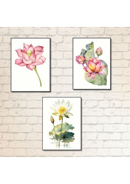 Suluboya Lotus Çiçeği 3'lü Japon Çiçek Çerçevesiz Poster fırsatları