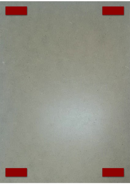 Tropik Tukan Kuşu Desenli Mdf Tablo 25cmx 35cm